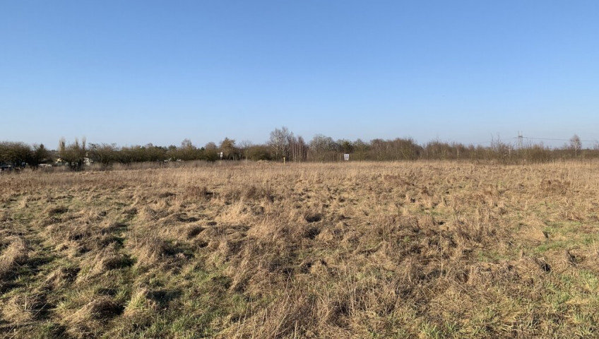 Działka Sprzedaż Żółwia Błoć
