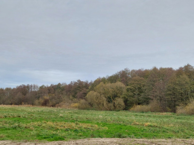 Działka  nad jeziorem