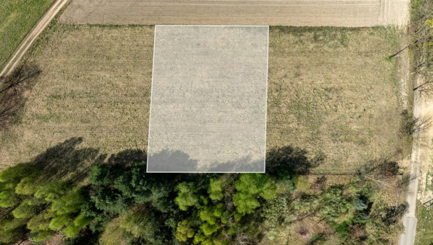 Działka Sprzedaż Kikorze