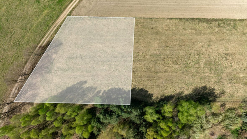 Działka Sprzedaż Kikorze