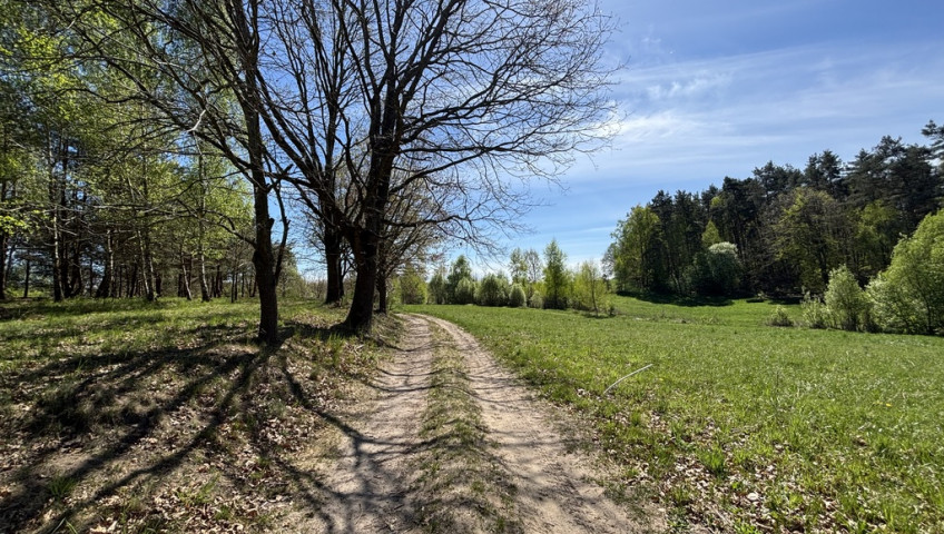 Działka Sprzedaż Kikorze