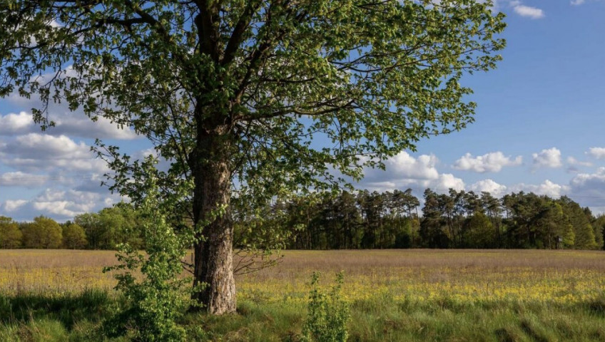 Działka Sprzedaż Jarnatów