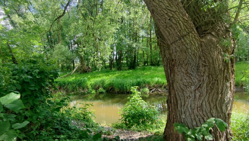 Działka Sprzedaż Żarowo
