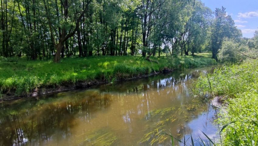 Działka Sprzedaż Żarowo
