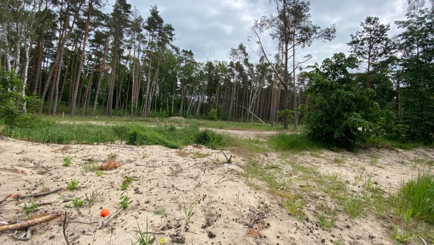 Działka Sprzedaż Dziwnówek