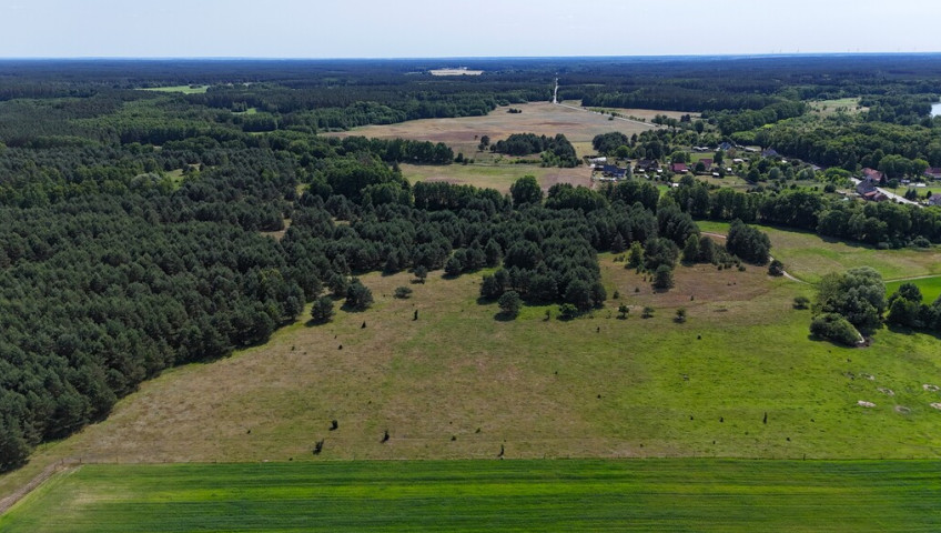Działka Sprzedaż Ostrowiec