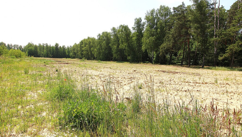 Działka Sprzedaż Grabowo