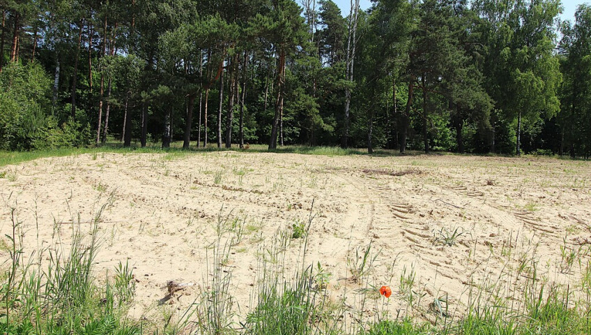 Działka Sprzedaż Grabowo