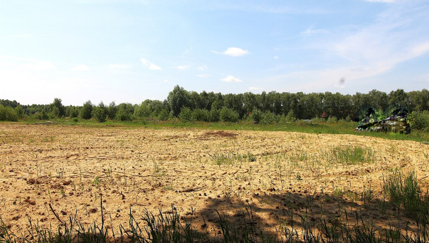 Działka Sprzedaż Grabowo