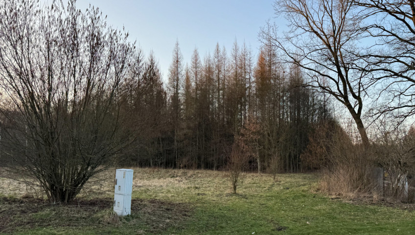 Działka Sprzedaż Błotno Błotny Młyn