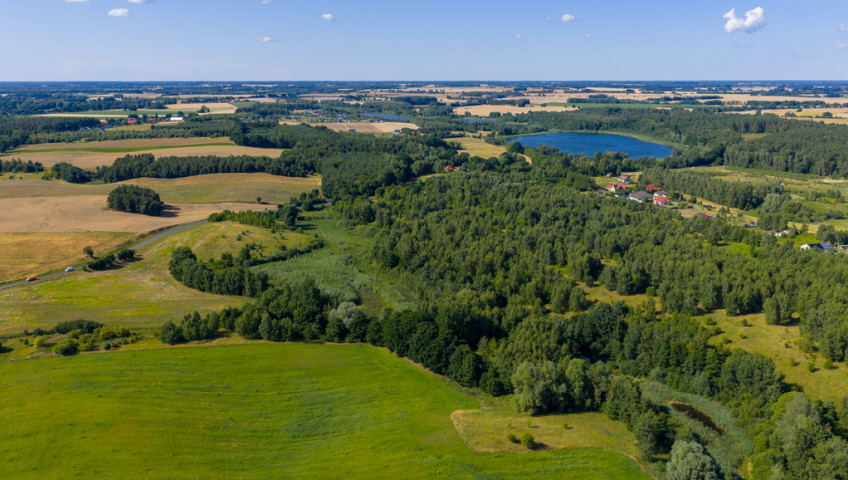 Działka Sprzedaż Grabowo