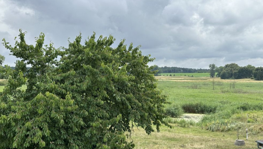 Dom Sprzedaż Bismarck 17321 Ramin, Vorpommern-Greifswald, Mecklenburg-Vorpommern Am Sportplatz