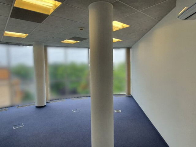 Lokal Wynajem Szczecin Centrum