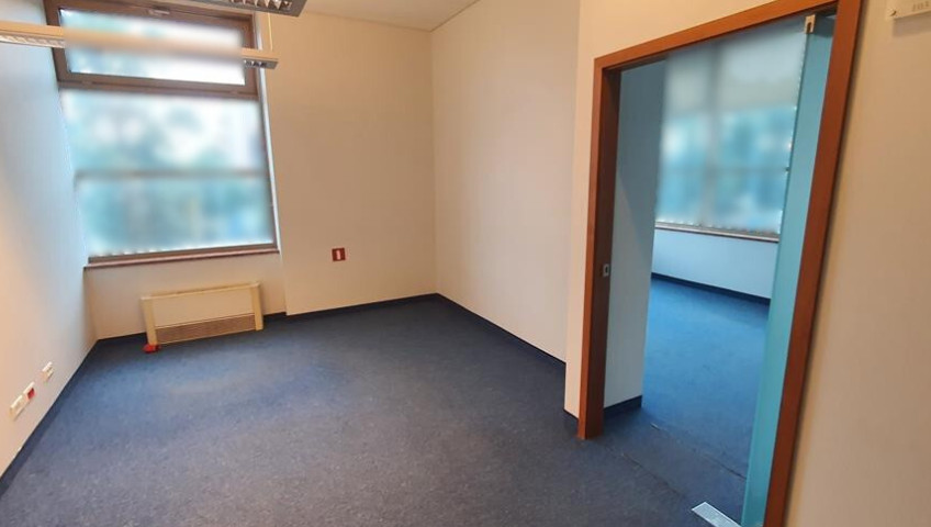 Lokal Wynajem Szczecin Śródmieście-Centrum