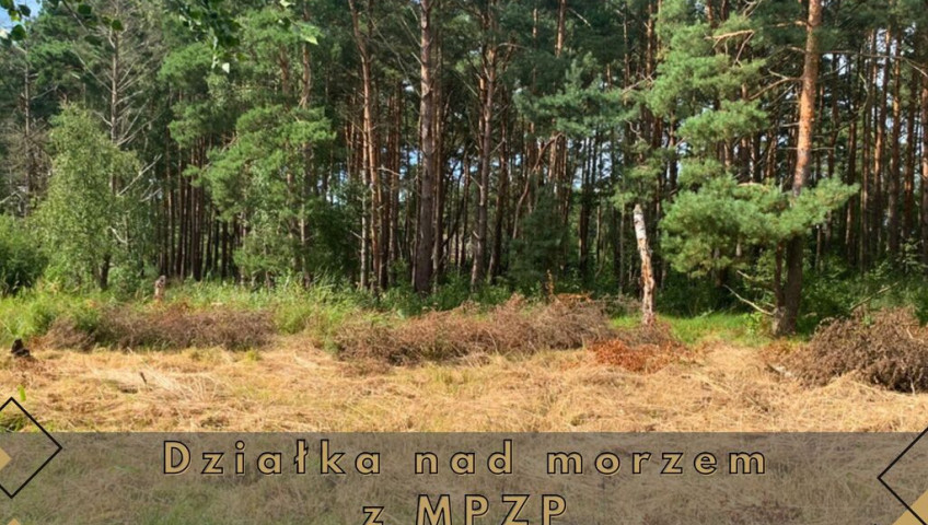 Działka Sprzedaż Międzywodzie