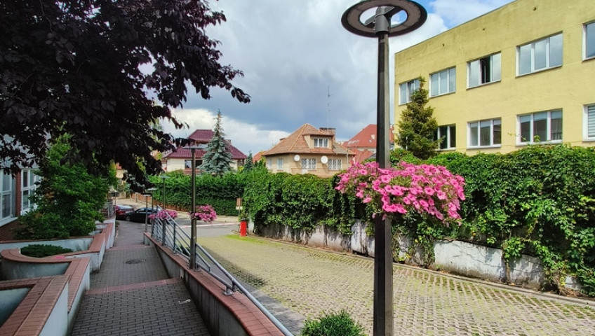 Mieszkanie Wynajem Szczecin Śródmieście Lutniana