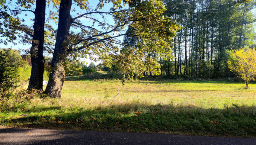 Działka Sprzedaż Rzędziny
