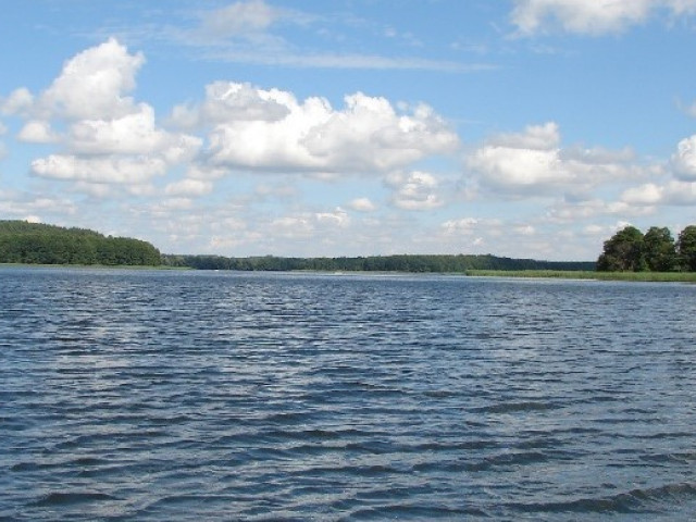 Działka Sprzedaż Dąbrowica
