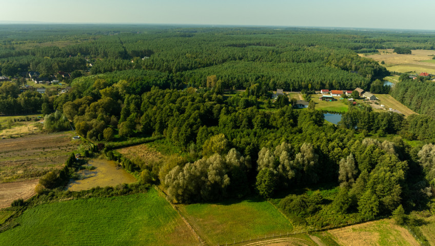 Działka Sprzedaż Stawno