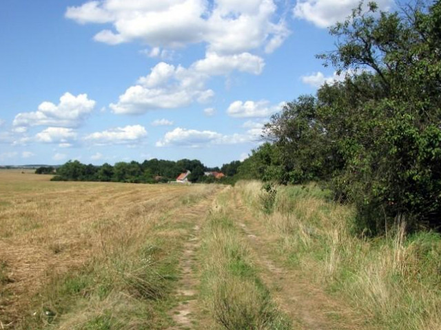 Działka Sprzedaż Barnisław