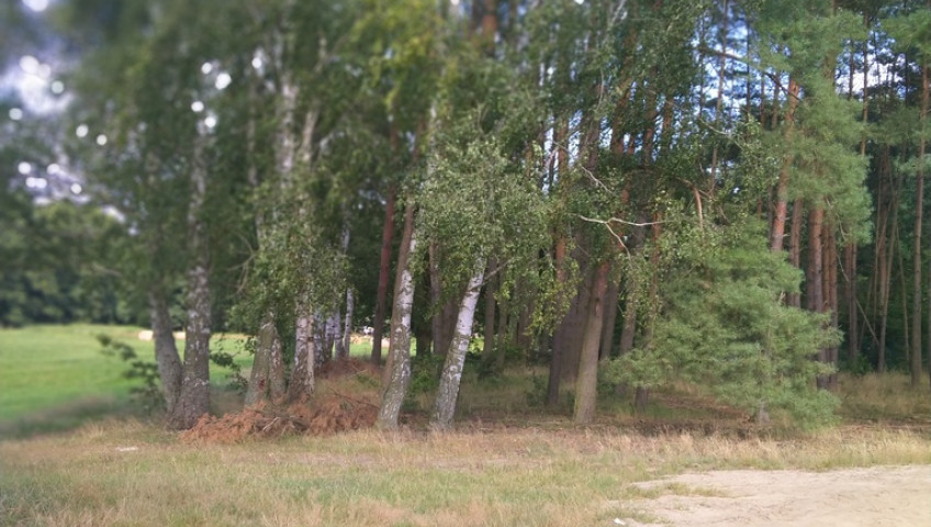 Działka Sprzedaż Tanowo Szczecińska