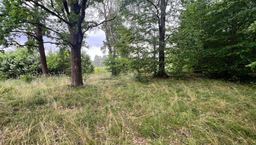 Działka Sprzedaż Storkowo
