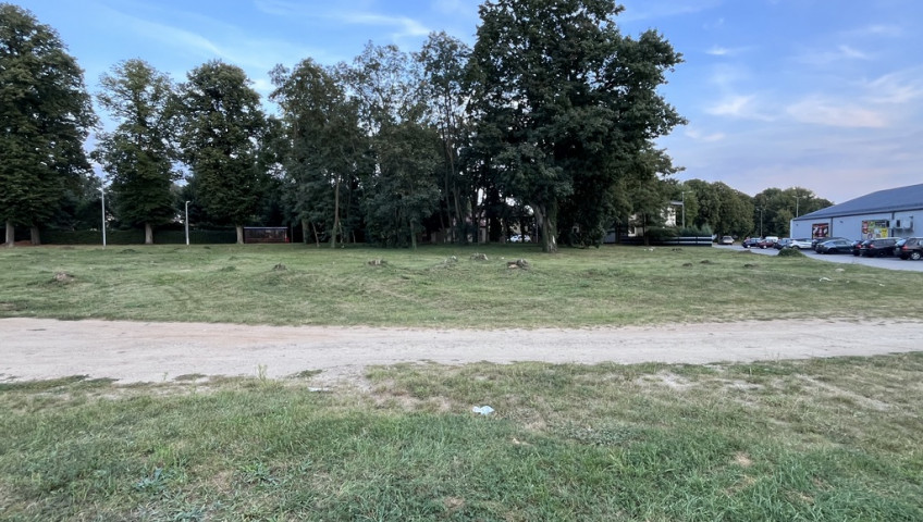 Działka Sprzedaż Moryń