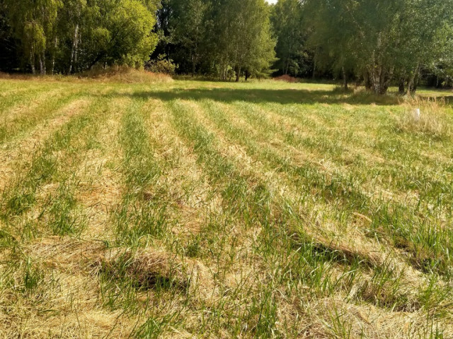 Działka Sprzedaż Grzepnica