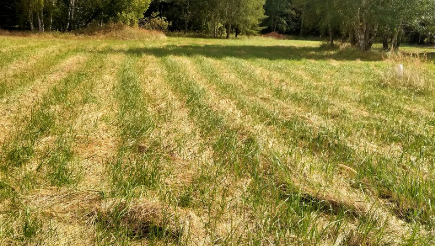 Działka Sprzedaż Grzepnica