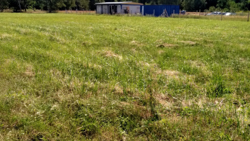 Działka Sprzedaż Grzepnica