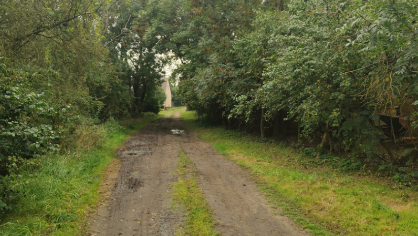 Działka Sprzedaż Barnisław