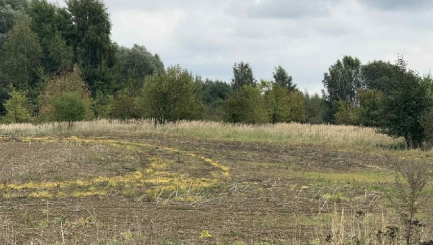 Działka Sprzedaż Stara Dąbrowa
