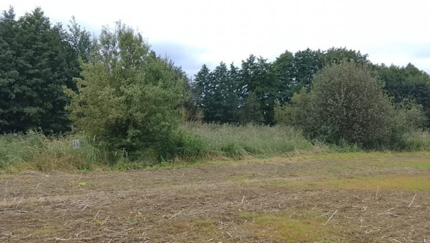 Działka Sprzedaż Stara Dąbrowa