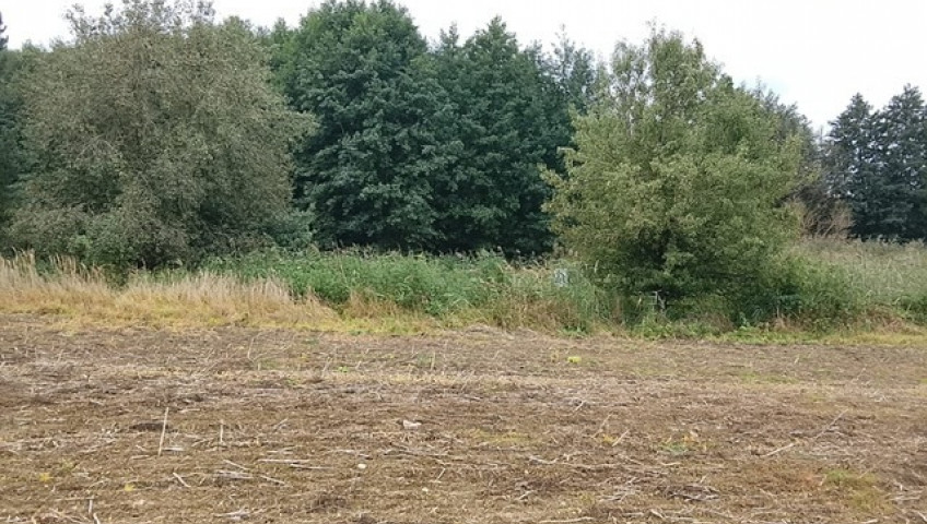 Działka Sprzedaż Stara Dąbrowa