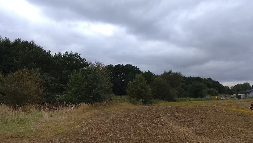 Działka Sprzedaż Stara Dąbrowa