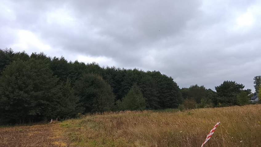 Działka Sprzedaż Stara Dąbrowa