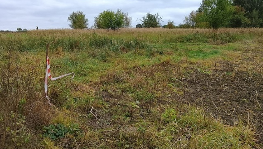 Działka Sprzedaż Stara Dąbrowa