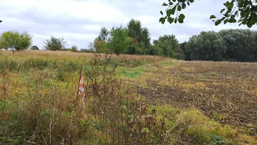 Działka Sprzedaż Stara Dąbrowa