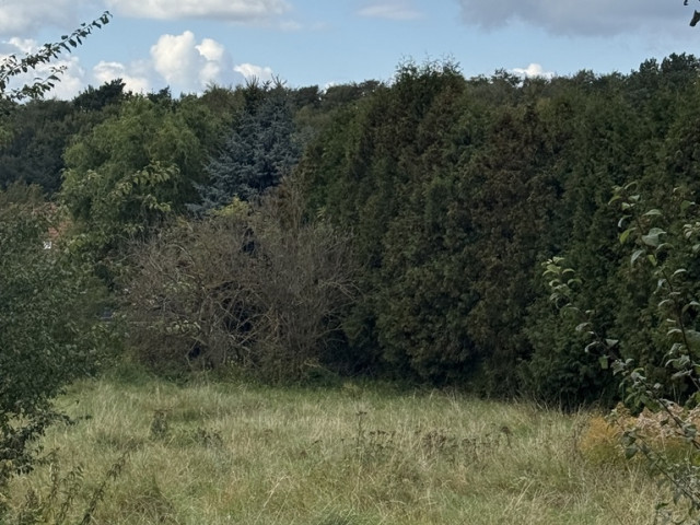Działka Sprzedaż Szczecin Pilchowo