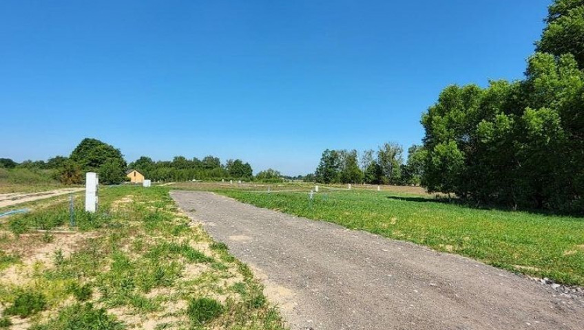 Działka Sprzedaż Buk