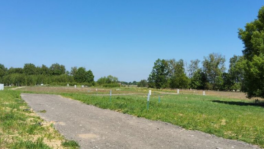 Działka Sprzedaż Buk