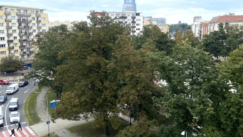 Mieszkanie Sprzedaż Szczecin Centrum Marszałka Józefa Piłsudskiego