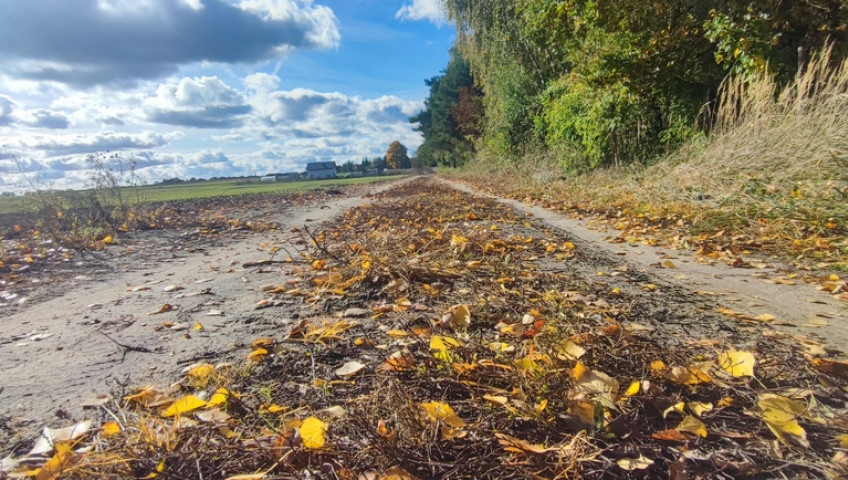 Działka Sprzedaż Grabowo