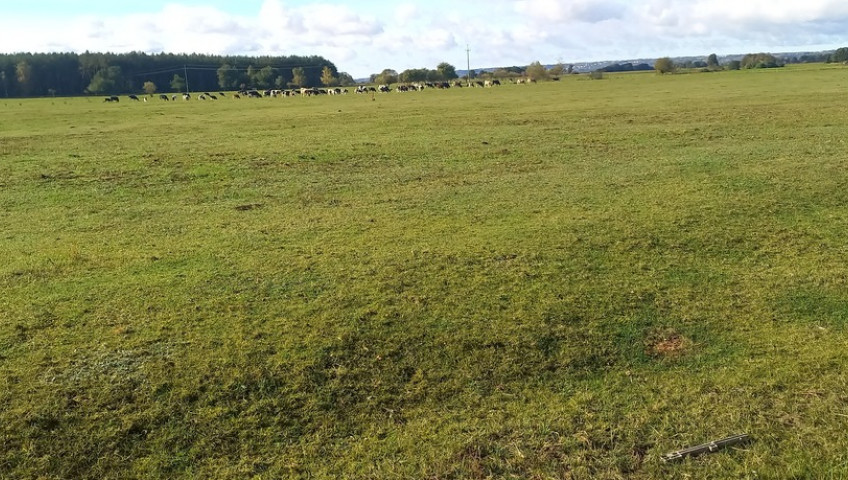 Działka Sprzedaż Borzysławiec