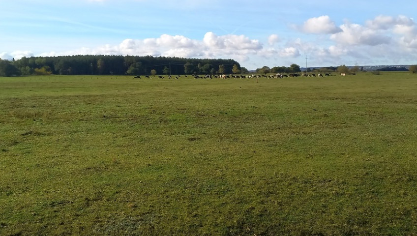 Działka Sprzedaż Borzysławiec