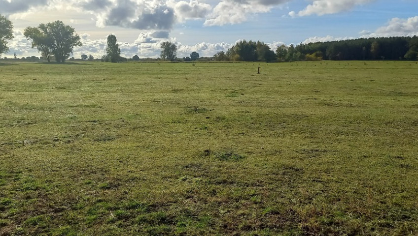 Działka Sprzedaż Borzysławiec