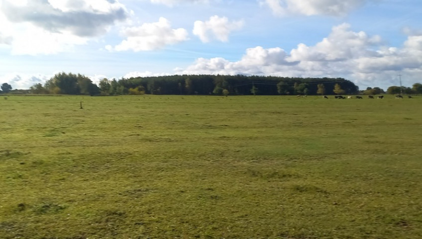 Działka Sprzedaż Borzysławiec