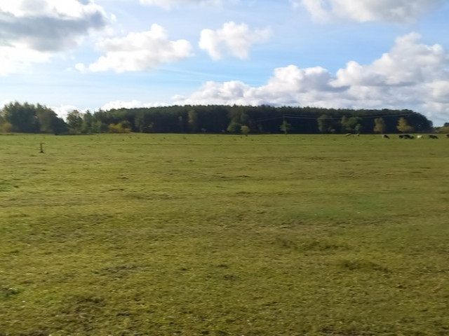 Działka Sprzedaż Borzysławiec