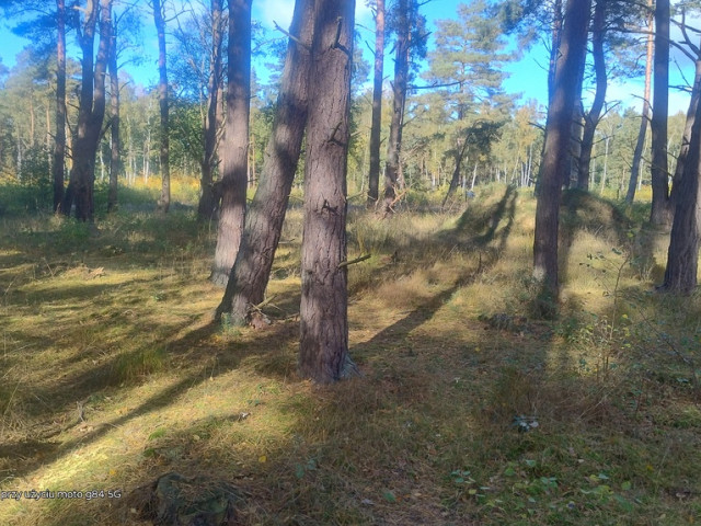 Działka Sprzedaż Dziwnów