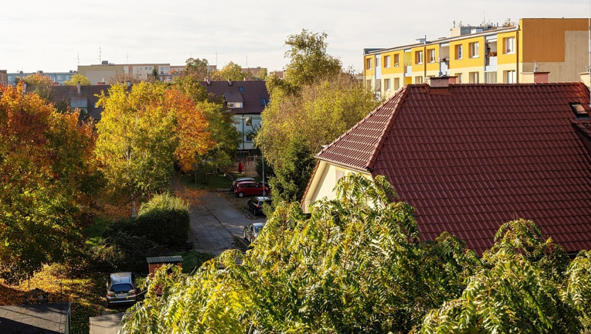 Mieszkanie Sprzedaż Szczecin Świerczewo